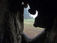 Naturfotographie Zufluchtsort