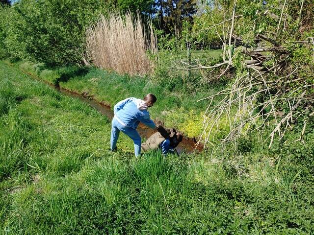 Aa Gefährliches Probensammeln