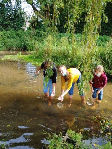 Gewässerkartierung Döringbach