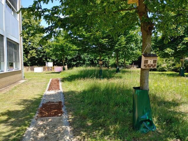 Projekttag Schulgarten